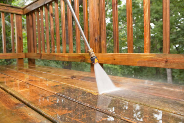 Animal Enclosure Cleaning in Lake Fenton, MI